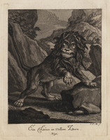 KG 01074
          <br/>
          Entwurf einiger Thiere. Zweyter Theil. (20 bladen)
          <br/>
          <em>Ridinger, Johann Elias (1698-1767)</em>